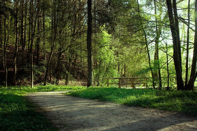 Fairy bridges