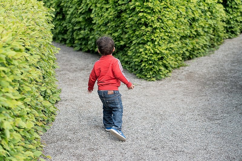 Longleat Hedge Maze